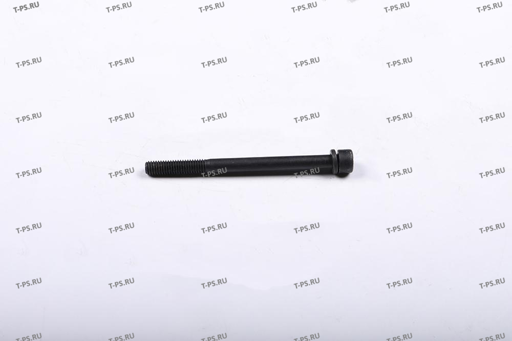 1 Винт крепления мотора для самоходной тележки EPT15H18H (Screw 20101605)